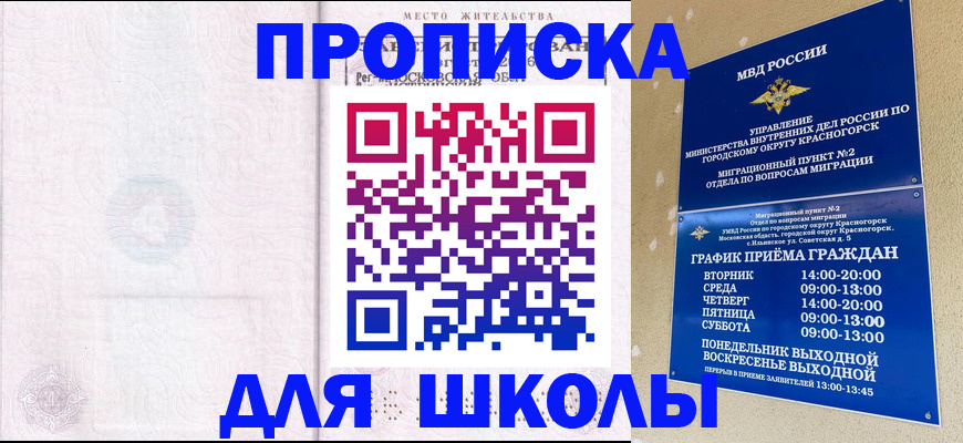 временная регистрация госуслуги в Павловске